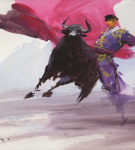 Gagos gallery bullfighting-8