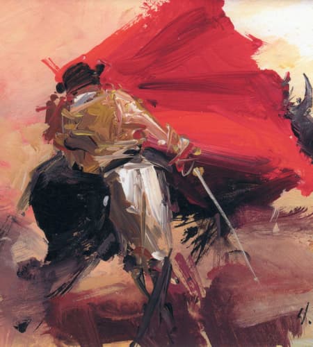 Gagos gallery bullfighting-21