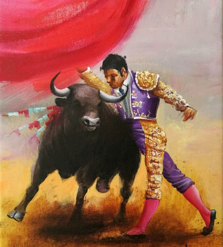 Gagos gallery bullfighting-31