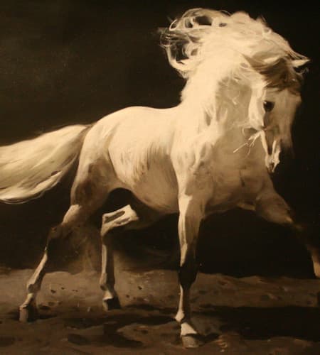 Gagos gallery horse-2