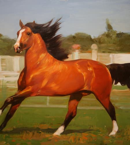 Gagos gallery horse-4