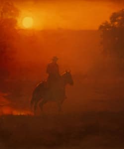 Gagos gallery Horse, oil on canvas