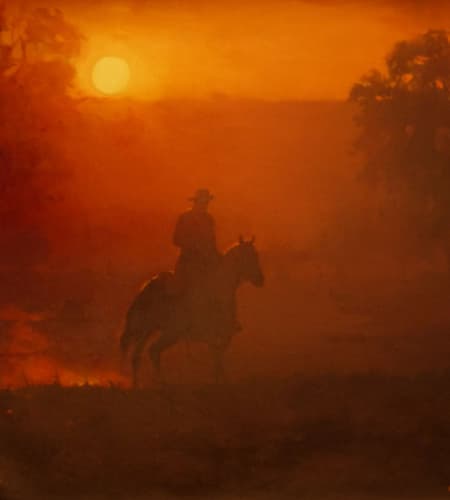 Gagos gallery horse-5