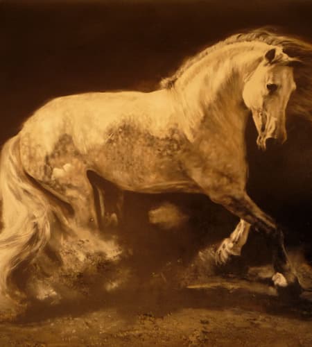 Gagos gallery horse-7