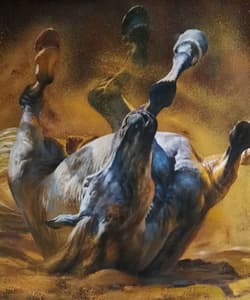 Gagos gallery Horse, oil on canvas