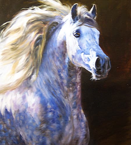 Gagos gallery horse-8