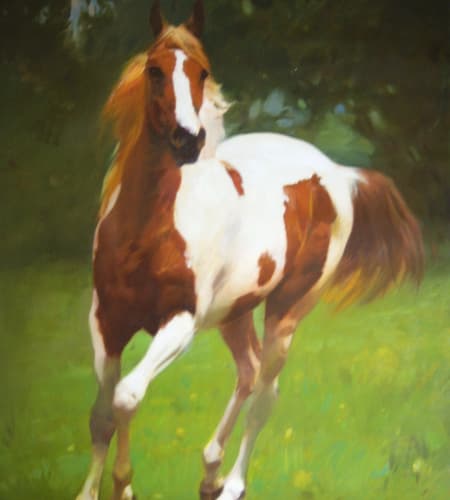Gagos gallery horse-11