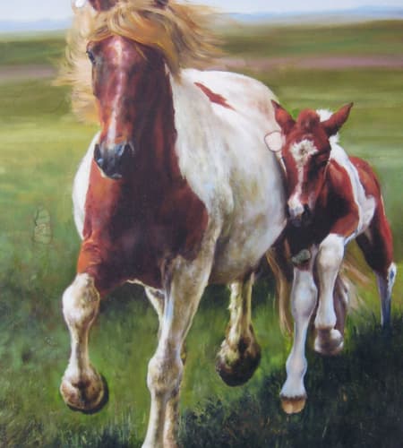 Gagos gallery horse-12