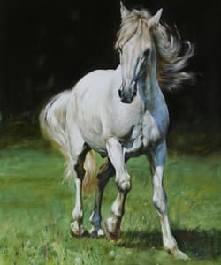 Gagos gallery Horse, oil on canvas