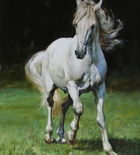 Gagos gallery horse-15