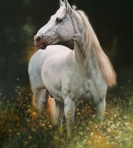 Gagos gallery horse-19