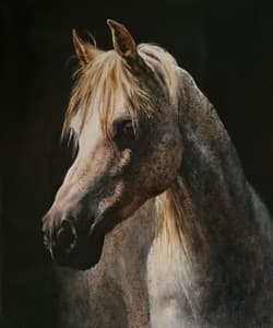Gagos gallery Horse, oil on canvas