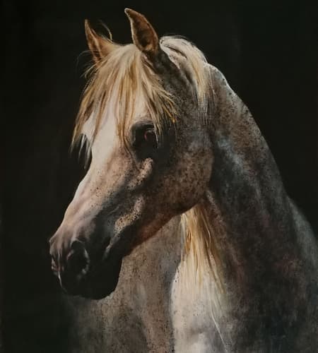 Gagos gallery horse-20